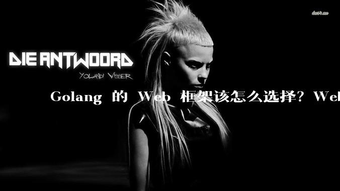 Golang 的 Web 框架该怎么选择？Web 开发又该怎样学？