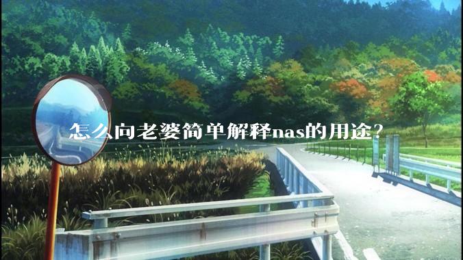 怎么向老婆简单解释nas的用途？