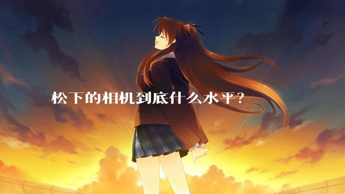 松下的相机到底什么水平？