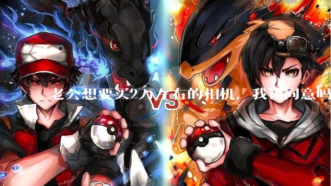 老公想要买2万左右的相机，我该同意吗？