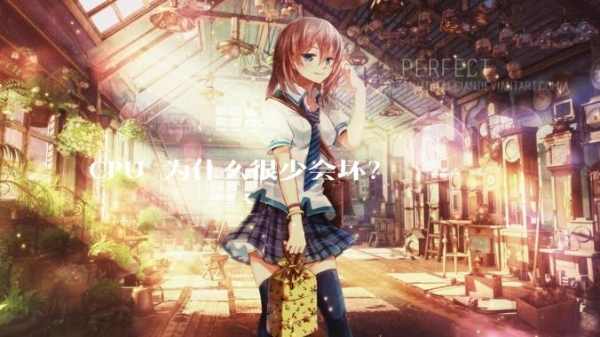 CPU 为什么很少会坏？