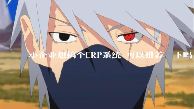 小企业想搞个ERP系统 可以推荐一下吗?
