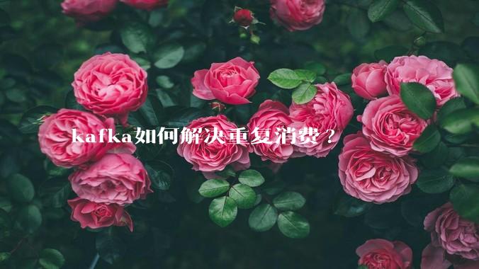 kafka如何解决重复消费?