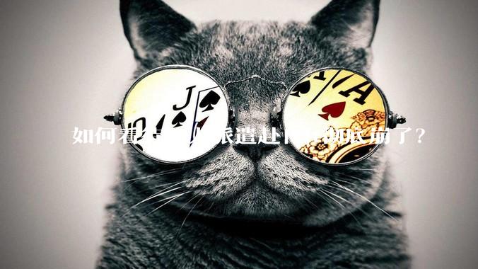 如何看待华人派遣赴日it彻底崩了？