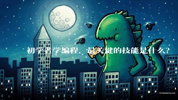 初学者学编程，最关键的技能是什么？