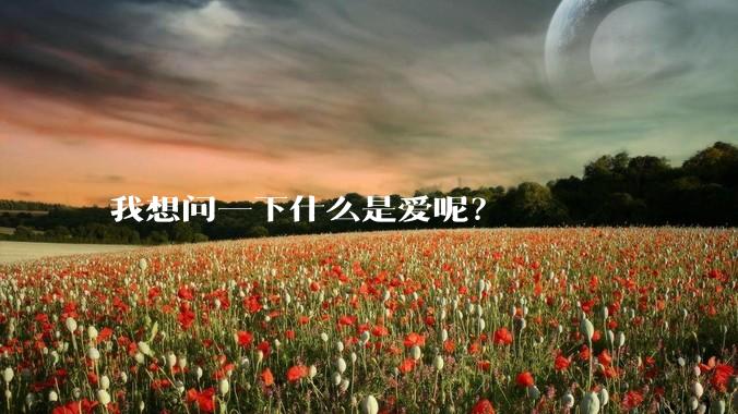 我想问一下什么是爱呢？