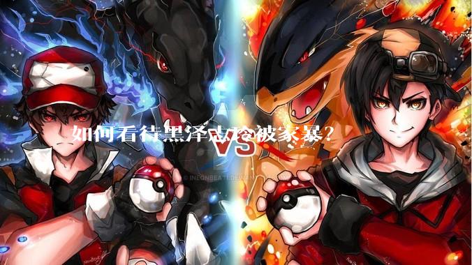 如何看待黑泽志玲被家暴？