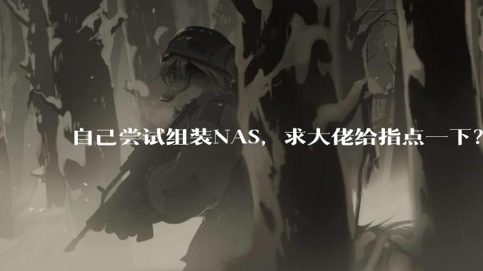 自己尝试组装NAS，求大佬给指点一下？