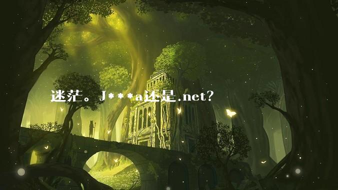 迷茫。J***a还是.net？